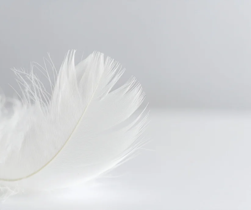 Encontrar plumas blancas o suaves en espacios poco habituales es una de las señales más difundidas