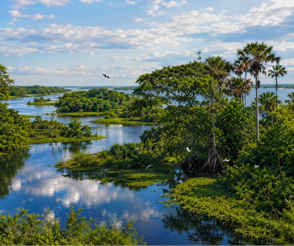 En los Pantanos de Centla confluyen algunas de las aguas más importantes de México. 