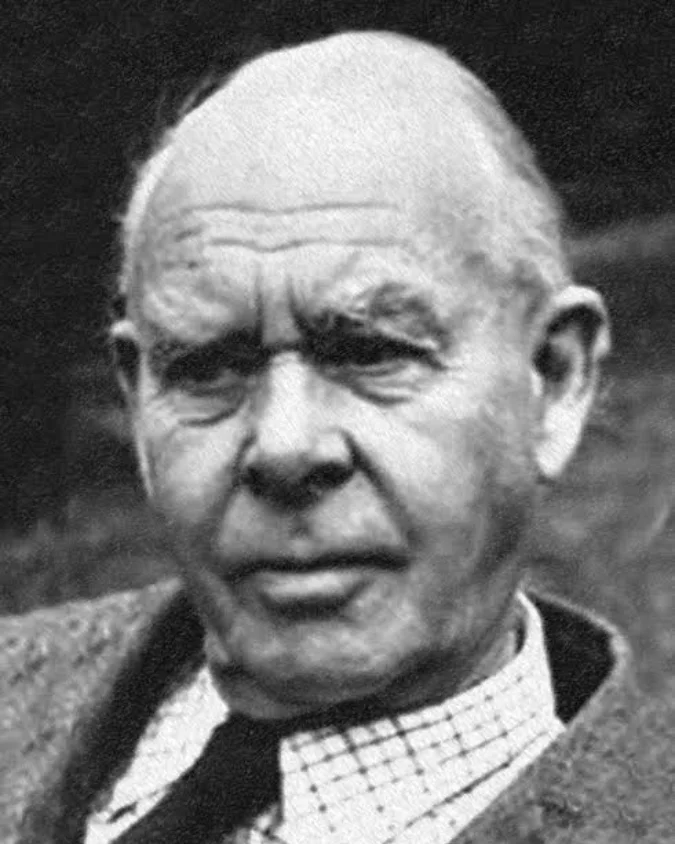 Desde la teoría del apego desarrollada por John Bowlby, se sabe que los menores necesitan estabilidad emocional y sensación de seguridad dentro de sus vínculos primarios.